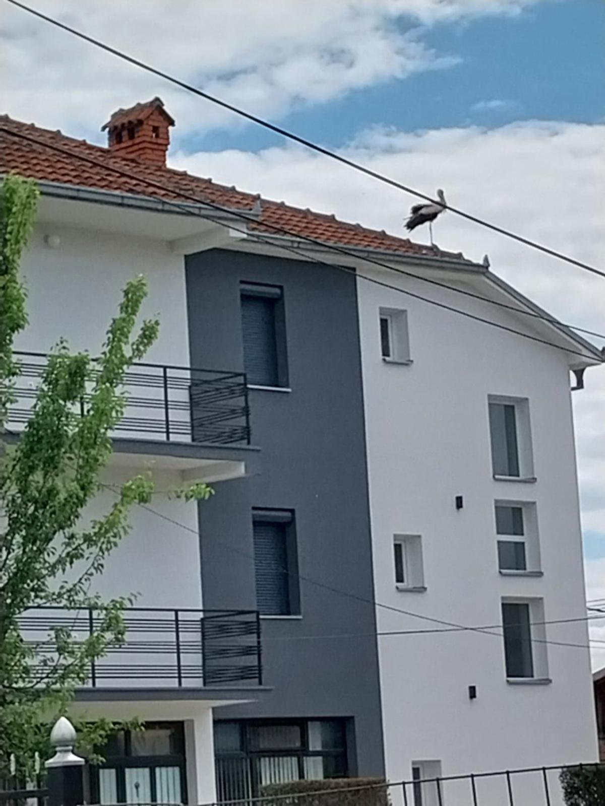 Ambient Apartments Struga Luaran gambar